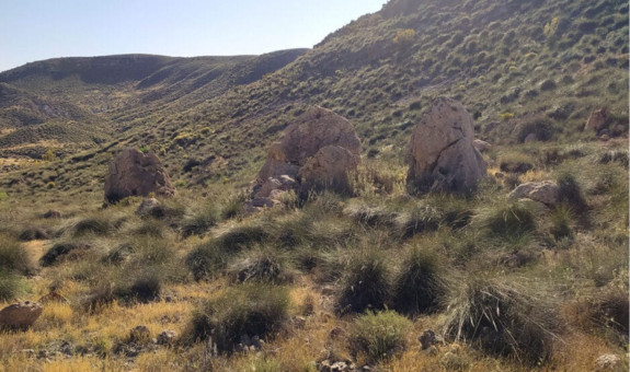 Salida de campo: El Hoyazo de Níjar